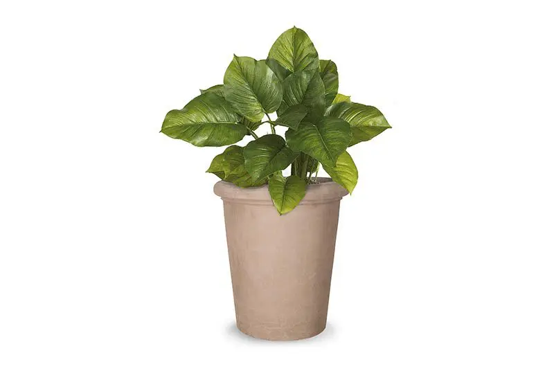 Life-Style Furniture – Potten – Camelia Life-Style Furniture - Potten - Camelia